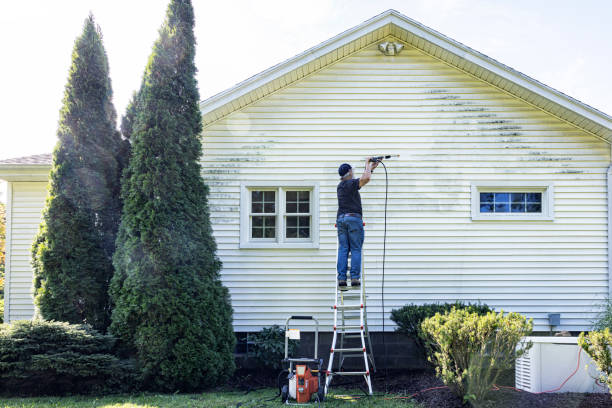 Best Roof Washing  in Oswego, NY